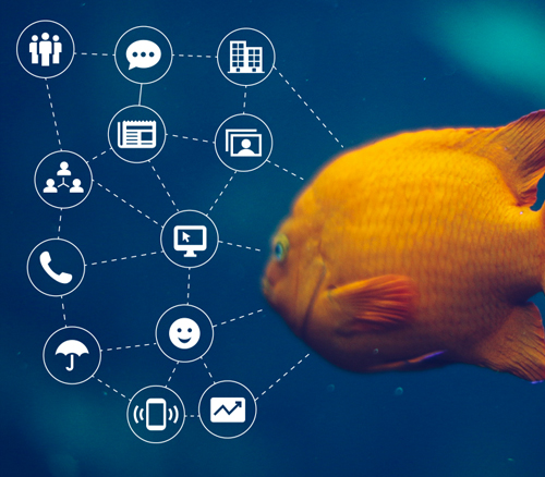 The New Goldfish Attention Span in the Age of the Internet