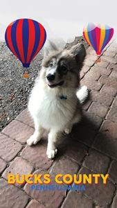 Understanding Snapchat