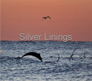 Silver Linings Beyond Coronavirus in Bucks County