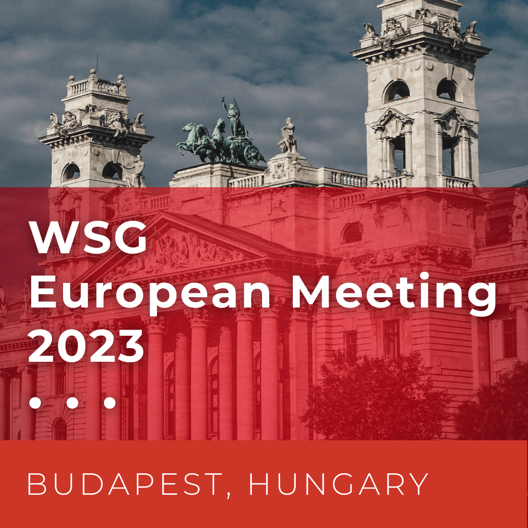 WSG European Region 2023 Meeting to Host a Power of PR Workshop by Furia Rubel Executives