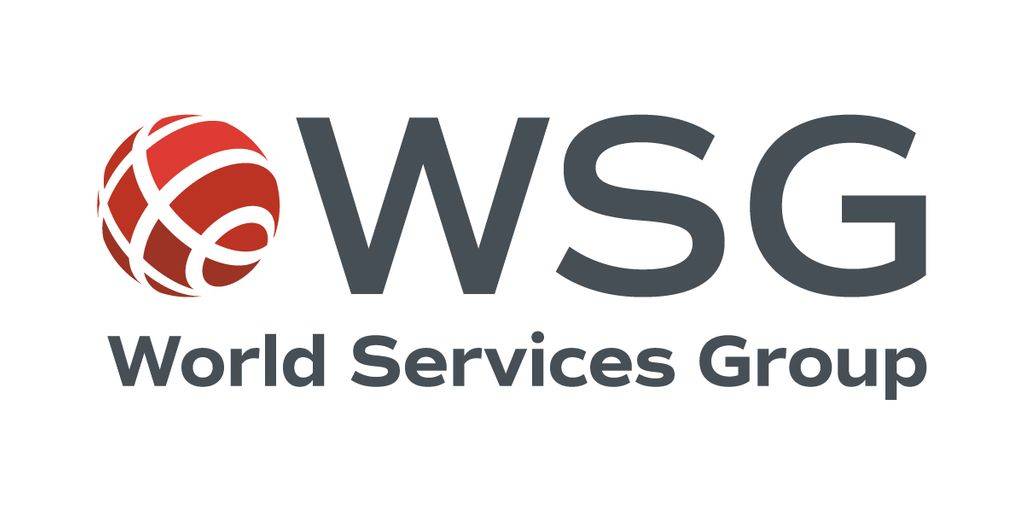 World Services Group logo